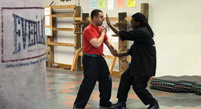 Lee's Chinese Martial Arts Federation Picture 1