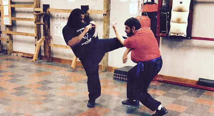 Lee's Chinese Martial Arts Federation Picture 3