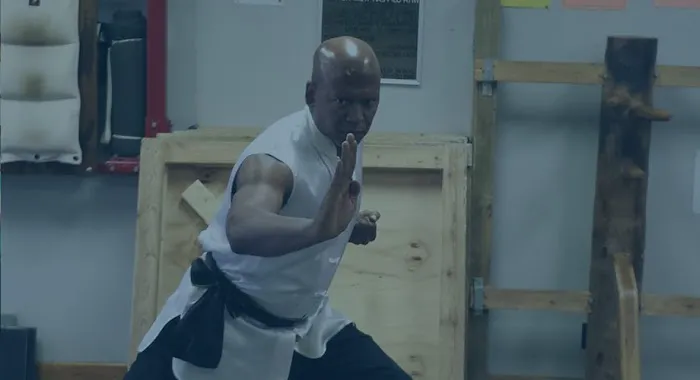 Lee's Chinese Martial Arts Federation Picture 2