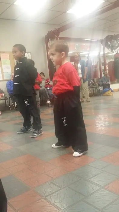 Lee's Chinese Martial Arts Federation Picture 8