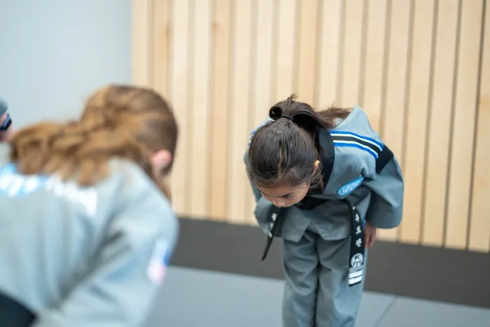 Ko Martial Arts - Prairie Village Picture 7