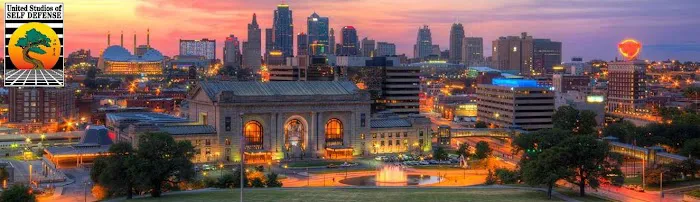 Aplomb Martial Arts Brookside Picture 3