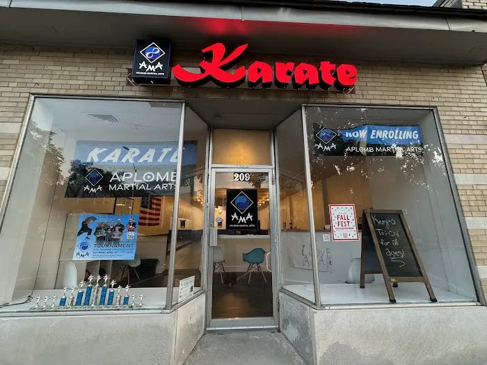 Aplomb Martial Arts Brookside Picture 4