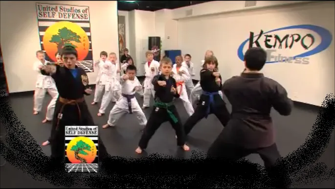 Aplomb Martial Arts Brookside Picture 8