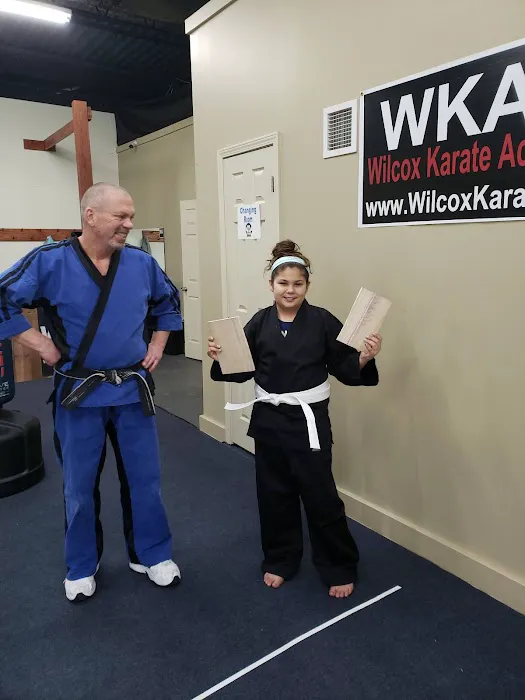 Wilcox Karate Academy Picture 4