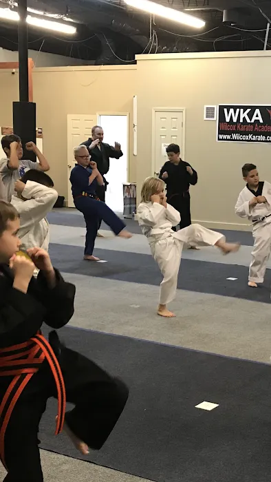 Wilcox Karate Academy Picture 10