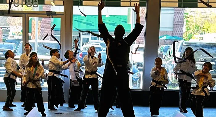 Tiger-Rock Martial Arts of North Overland Park Picture 1