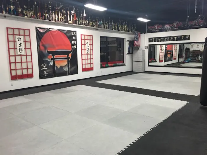 AmeriKick Martial Arts Overland Park Picture 3