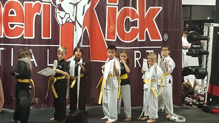 AmeriKick Martial Arts Overland Park Picture 7