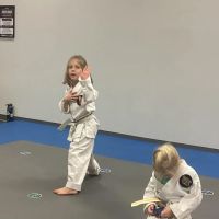 Beyond Martial Arts ico