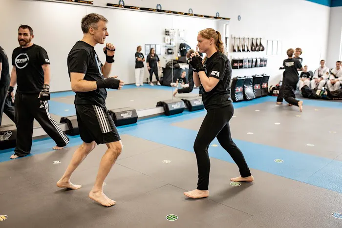 Beyond Martial Arts Picture 2