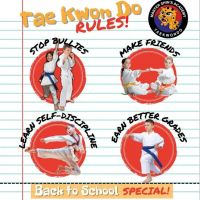 Master Shin's Academy Tae Kwon Do ico