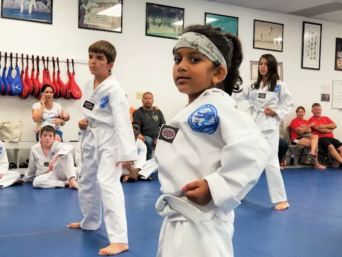 Jeong's Taekwondo Martial Arts Picture 5