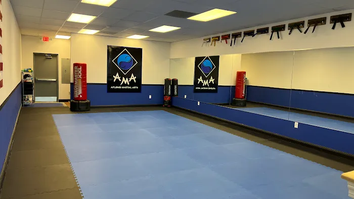 Aplomb Martial Arts KC North Picture 3