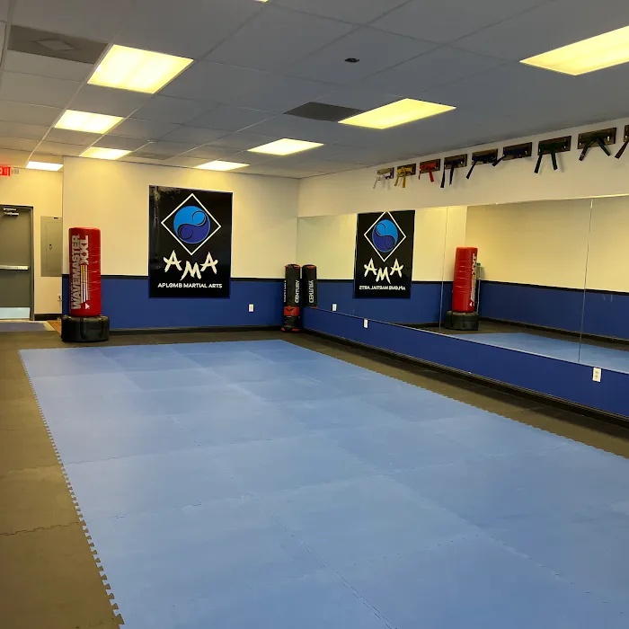 Aplomb Martial Arts KC North Picture 5