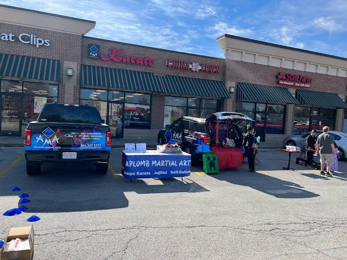 Aplomb Martial Arts KC North Picture 7