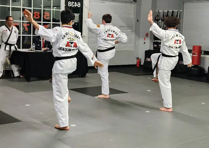 PRIDE Martial Arts Parkville Picture 5