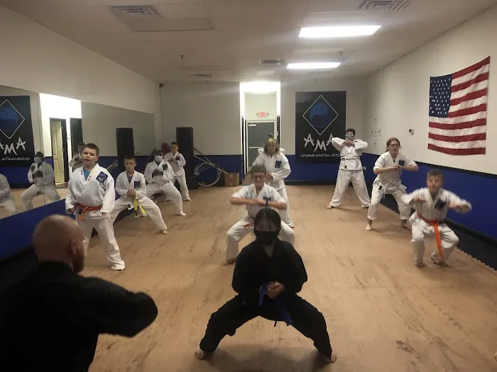 Aplomb Martial Arts Liberty Picture 5