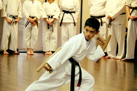 Shogun Martial Arts Center International Inc. Picture 5