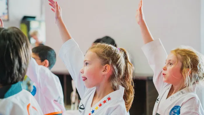 Jeong's Taekwondo Martial Arts Picture 5