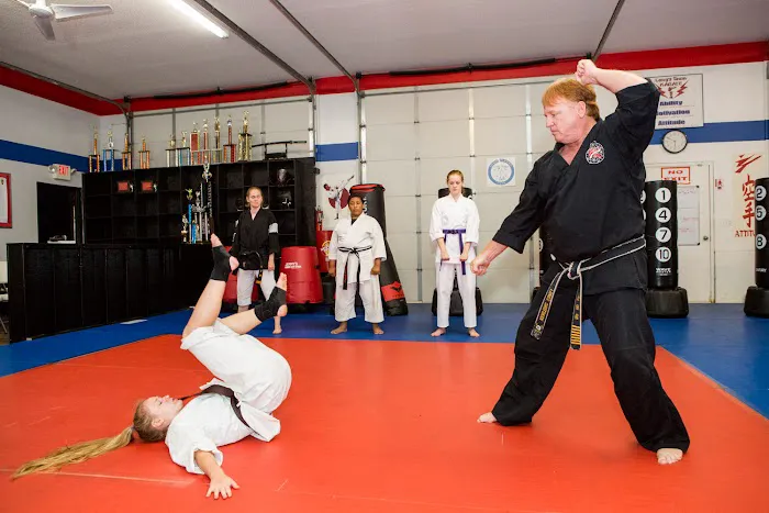 Long's Shotokan Karate Academy Picture 2