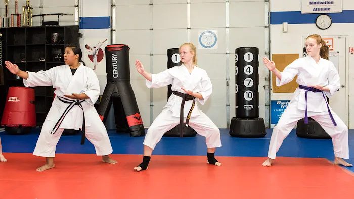 Long's Shotokan Karate Academy Picture 3
