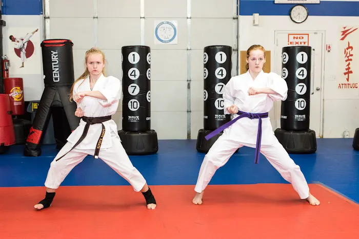 Long's Shotokan Karate Academy Picture 4