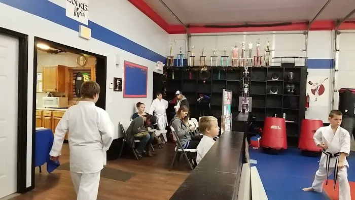 Long's Shotokan Karate Academy Picture 7