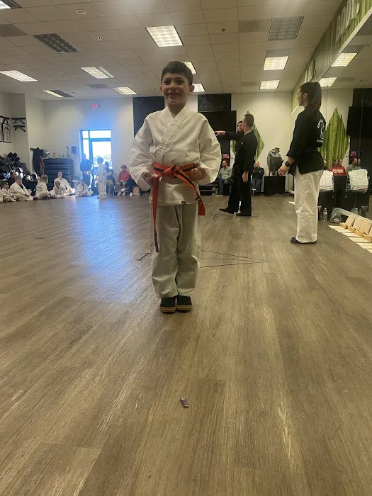 AKKA Karate Blue Springs Picture 1