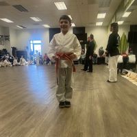 AKKA Karate Blue Springs ico