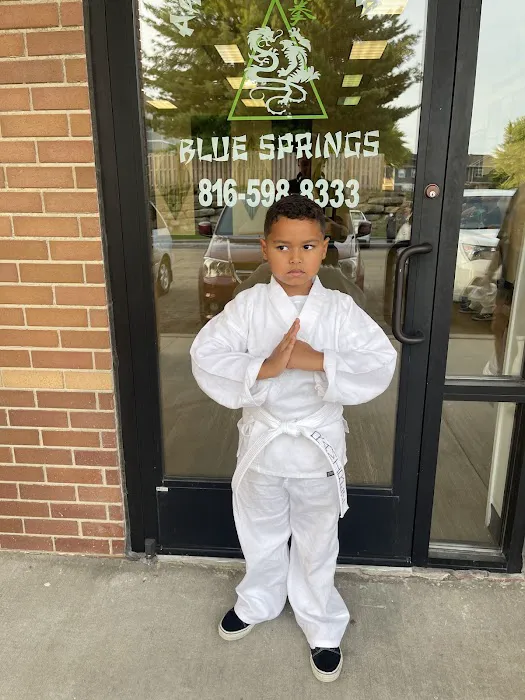 AKKA Karate Blue Springs Picture 10