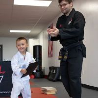 Vertical Taekwondo ico