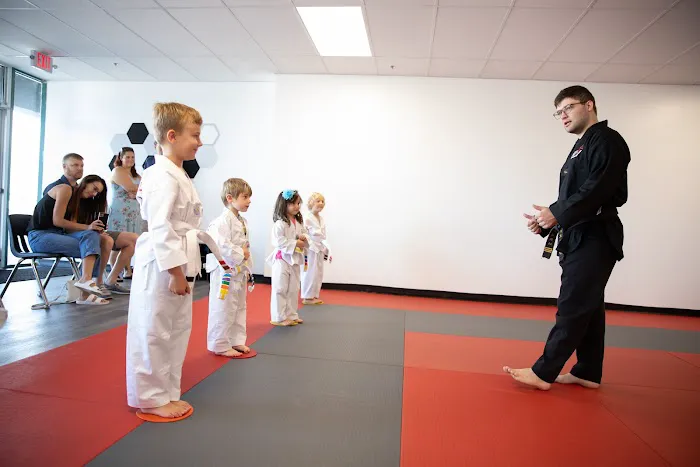 Vertical Taekwondo Picture 2