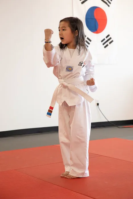 Vertical Taekwondo Picture 4