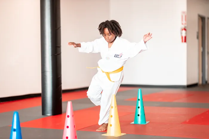 Vertical Taekwondo Picture 6