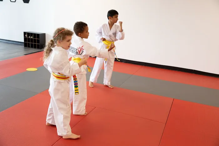 Vertical Taekwondo Picture 8