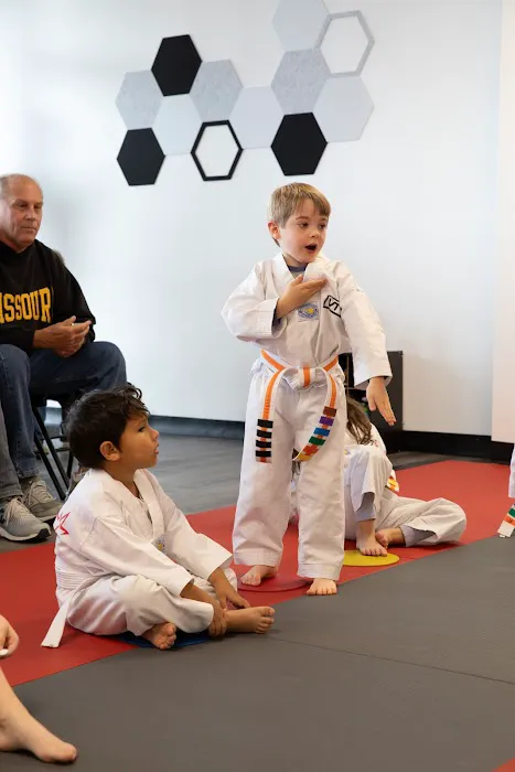 Vertical Taekwondo Picture 9