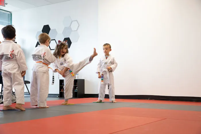 Vertical Taekwondo Picture 10