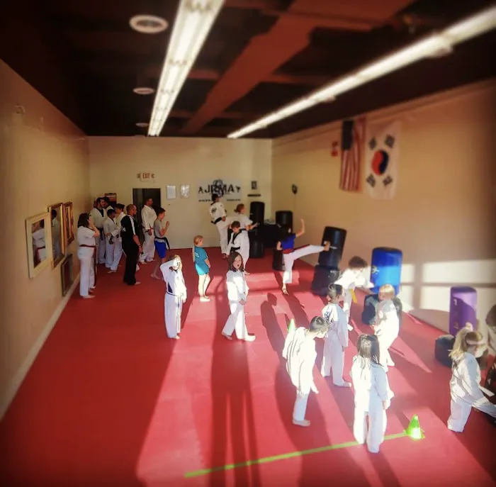 JRMA Family Martial Arts Picture 4