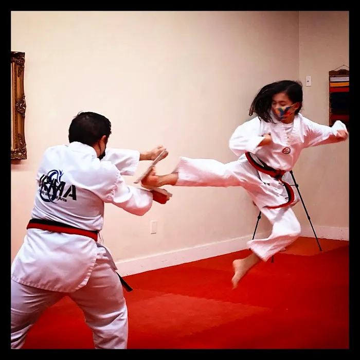 JRMA Family Martial Arts Picture 5