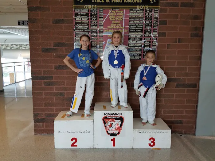 Pruter's Taekwondo Martial Arts Fitness Picture 6