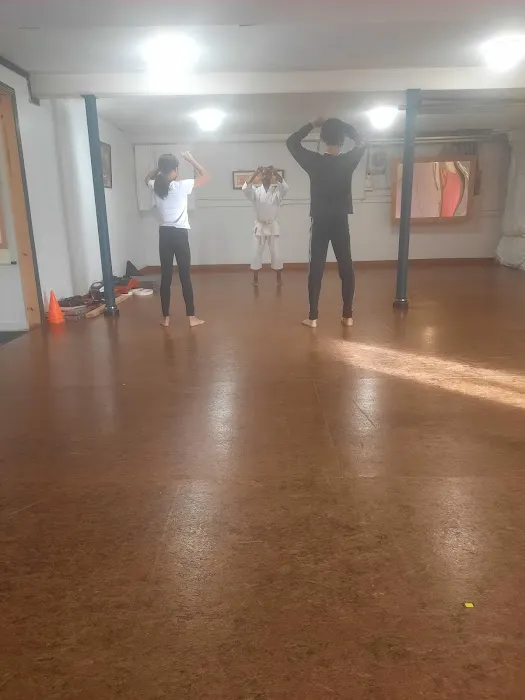 South KC Shotokan Karate Picture 7