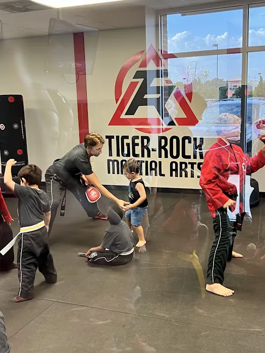 Tiger Rock Martial Arts of Overland Park Picture 10