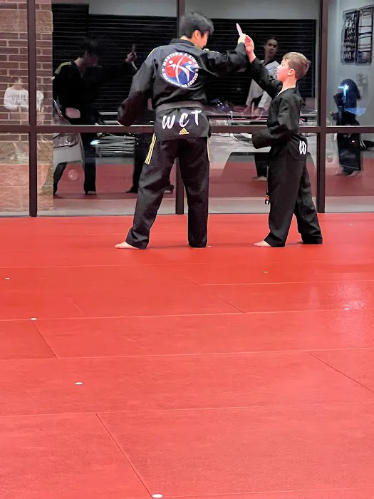 Master H C Kim's World Class Tae Kwon Do Center Picture 6