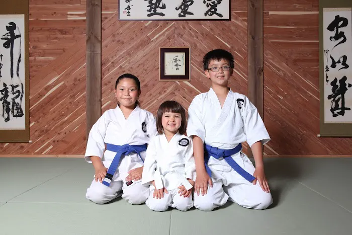 Aikijuku Dojo Picture 6