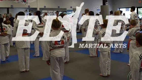 Elite Martial Arts Picture 3