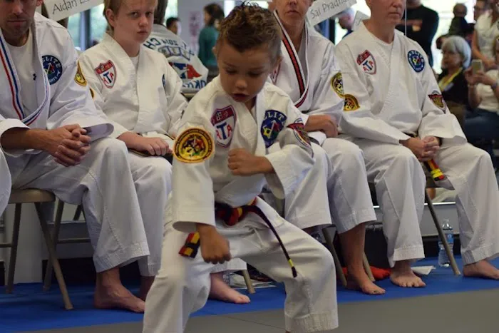 Elite Martial Arts Picture 6