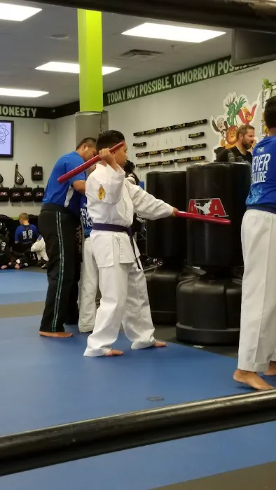 iXL Martial Arts Picture 10