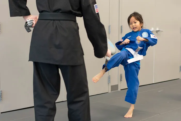 Ko Martial Arts - North Olathe Picture 10