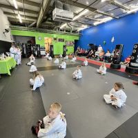 Limitless Martial Arts ico